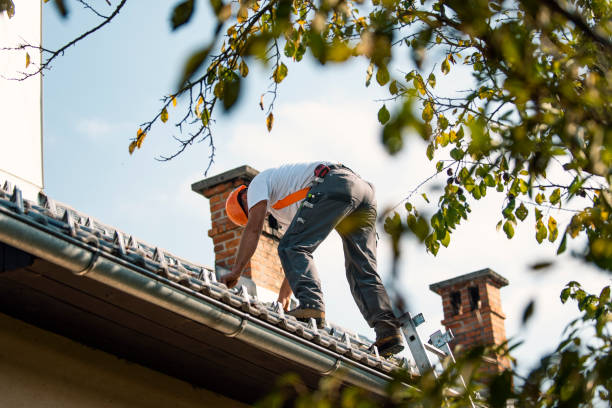 Professional Roofing Contractor in Ransomville, NY