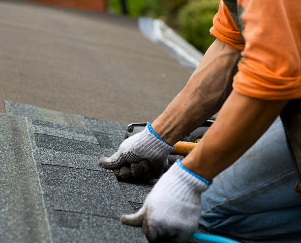 Best Roof Gutter Cleaning  in Ransomville, NY